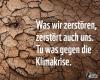 18.12. Zahlreiche positive Meldungen zur LG